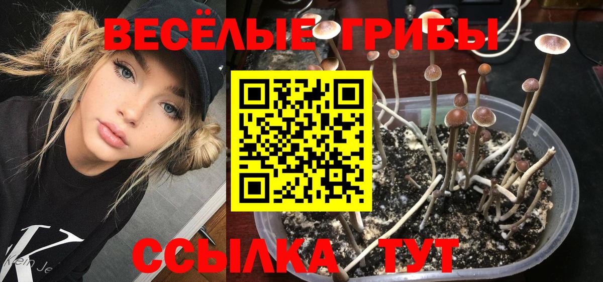 Галлюциногенные грибы мухоморы  Вход с VPN  Ленинск-Кузнецкий 