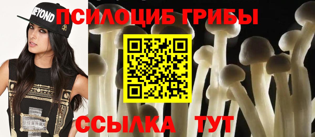 Псилоцибиновые грибы прущие грибы Ленинск-Кузнецкий